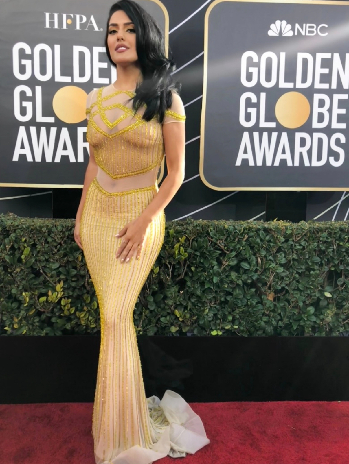 Golden Globes Red Carpet